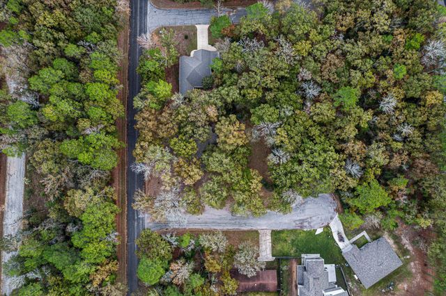 28700 Gumwood Court, Huntsville, TX 77320