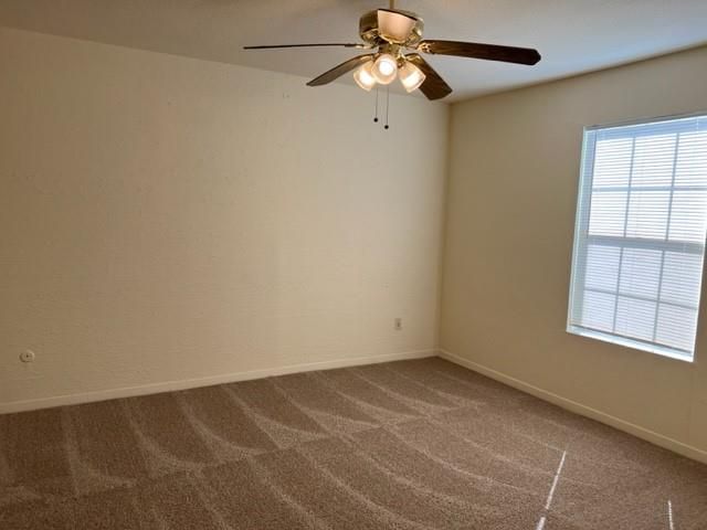 9101 Country Creek Drive 205, Houston, TX 77036