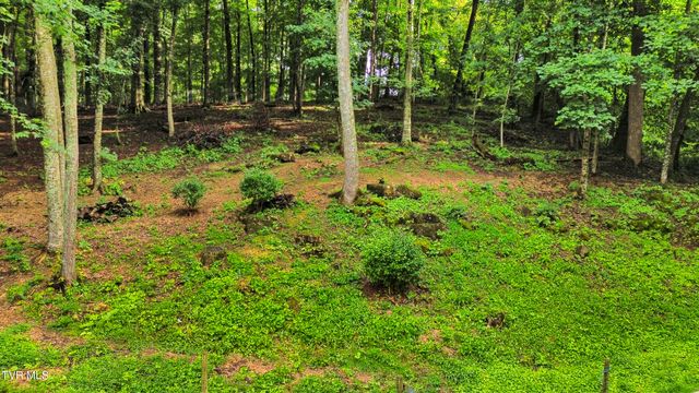 11980 Waterhouse Lane, Glade Spring, VA 24340