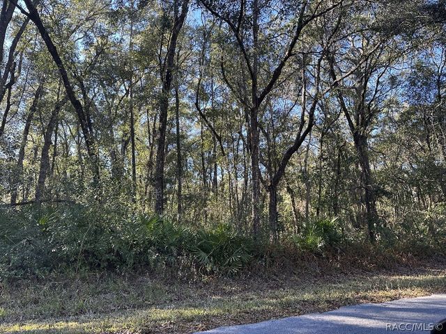 462 N Dugan Avenue, Inverness, FL 34453