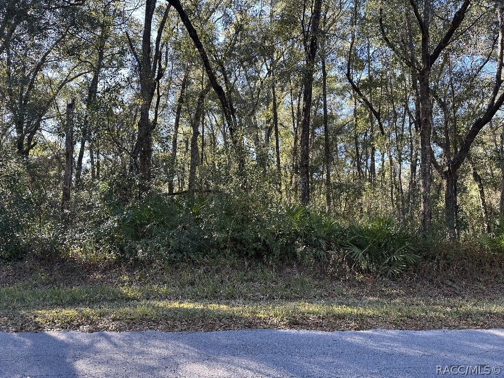 462 N Dugan Avenue, Inverness, FL 34453