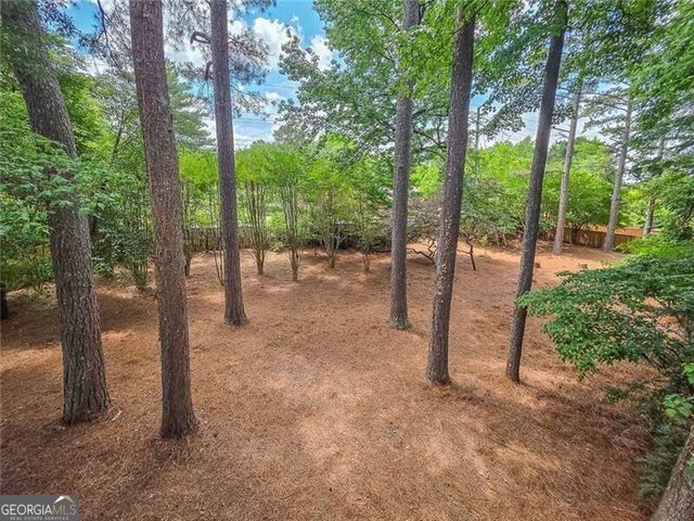 2820 Towne Village Drive, Duluth, GA 30097