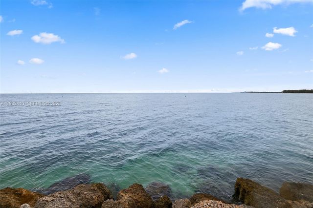 19122 Fisher Island Dr 19122, Miami Beach, FL 33109