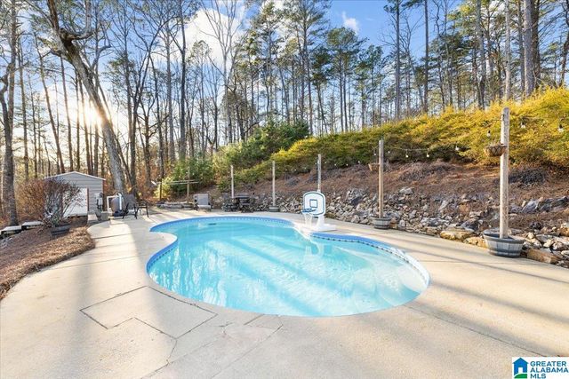 4463 WASHINGTON VALLEY ROAD, Springville, AL 35146