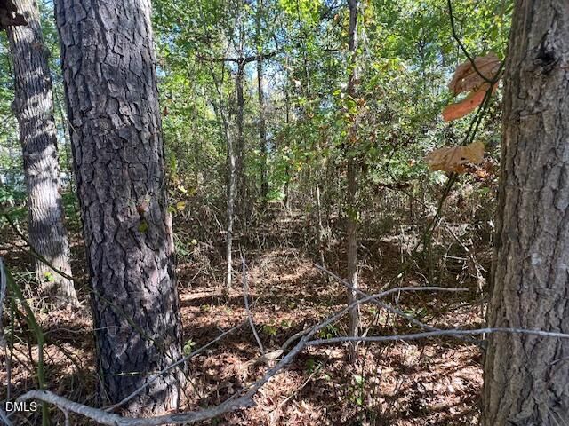 162 Eagle Drive, Louisburg, NC 27549