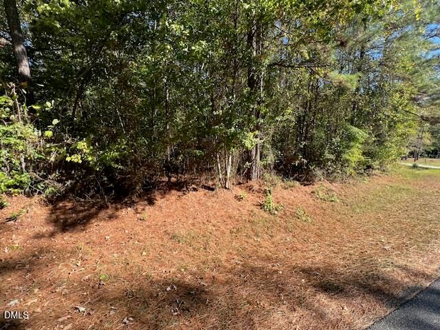 162 Eagle Drive, Louisburg, NC 27549