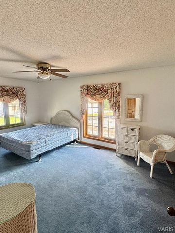 6 Willow Circle Drive, Greenville, IL 62246