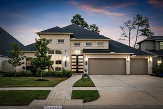 15423 Ringbill Way, Magnolia, TX 77354