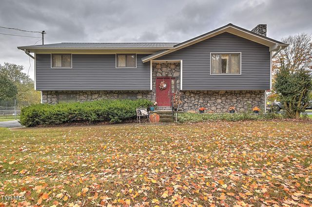 725 Gray Sta-Sul Springs Road, Jonesborough, TN 37659