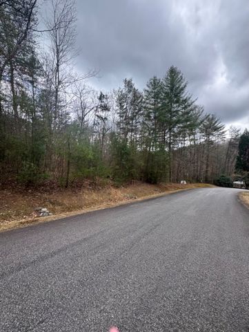 16R Leatherwood Mountain Road, Cherry Log, GA 30522