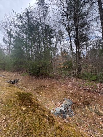 16R Leatherwood Mountain Road, Cherry Log, GA 30522