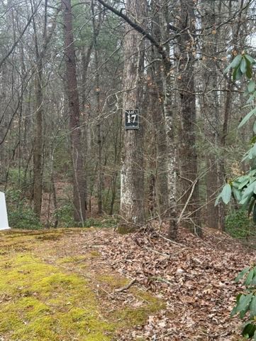 16R Leatherwood Mountain Road, Cherry Log, GA 30522