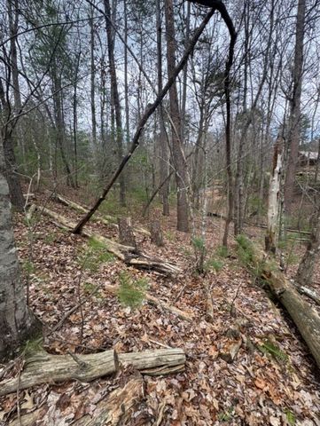 16R Leatherwood Mountain Road, Cherry Log, GA 30522