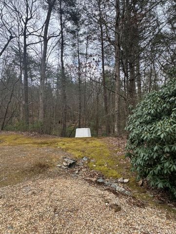 16R Leatherwood Mountain Road, Cherry Log, GA 30522