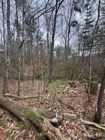 16R Leatherwood Mountain Road, Cherry Log, GA 30522
