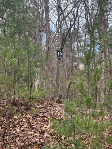 16R Leatherwood Mountain Road, Cherry Log, GA 30522