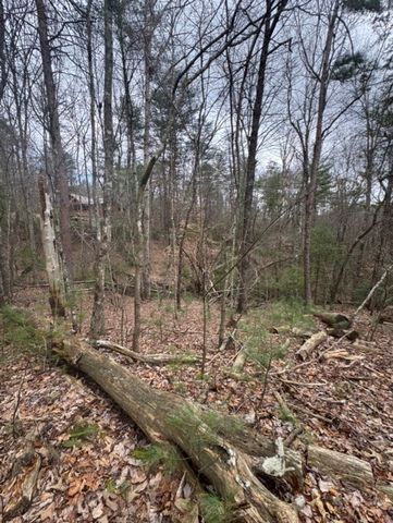 16R Leatherwood Mountain Road, Cherry Log, GA 30522
