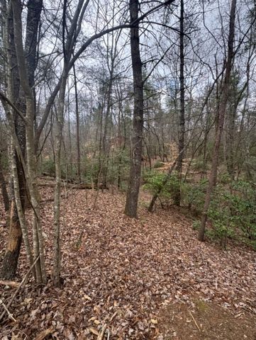 16R Leatherwood Mountain Road, Cherry Log, GA 30522