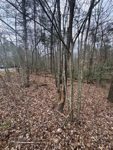 16R Leatherwood Mountain Road, Cherry Log, GA 30522