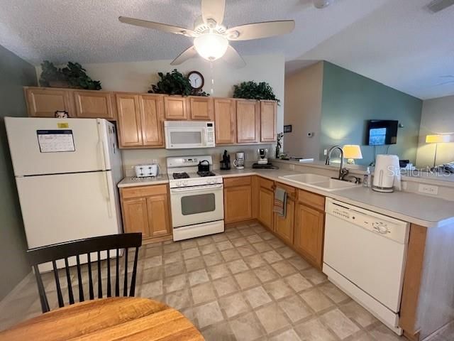 1641 OSPREY AVENUE, The Villages, FL 32162