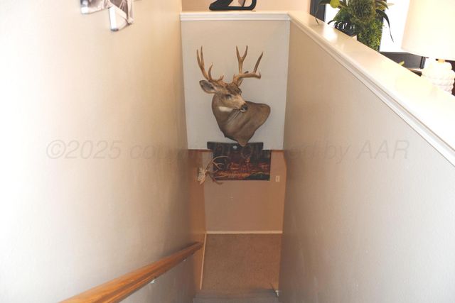 1707 W Bedford Street, Dimmitt, TX 79027