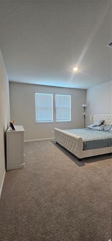 29215 Farmhouse Estates Dr, Waller, TX 77484