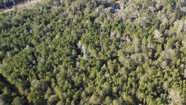 TBD Road 3813, Cleveland, TX 77328