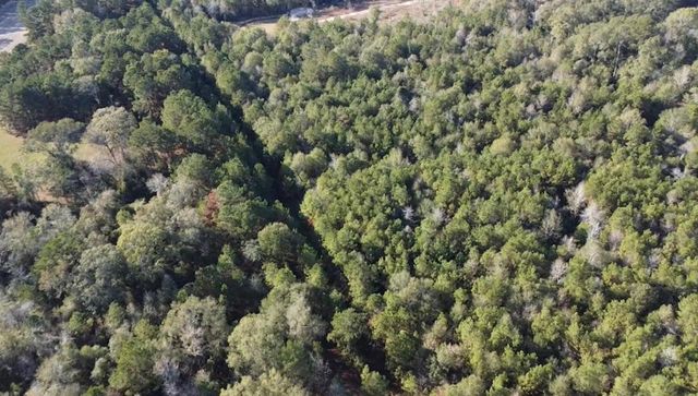 TBD Road 3813, Cleveland, TX 77328