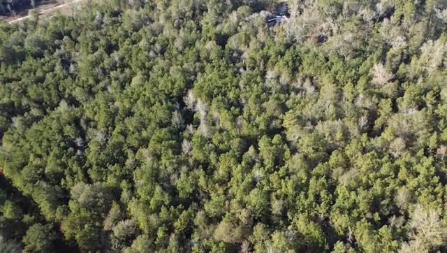 TBD Road 3813, Cleveland, TX 77328