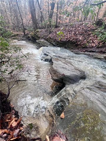 100 Buckwood Farms Path, Dallas, GA 30132