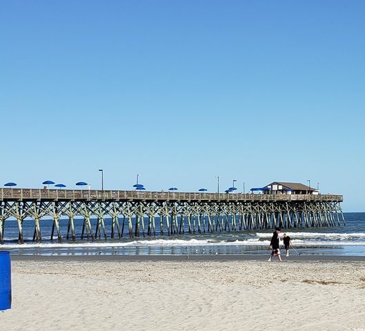 9 Saltwind Loop, Murrells Inlet, SC 29576