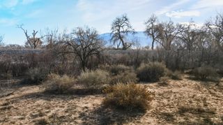 175 Lot E Railcar Road, Corrales, NM 87048