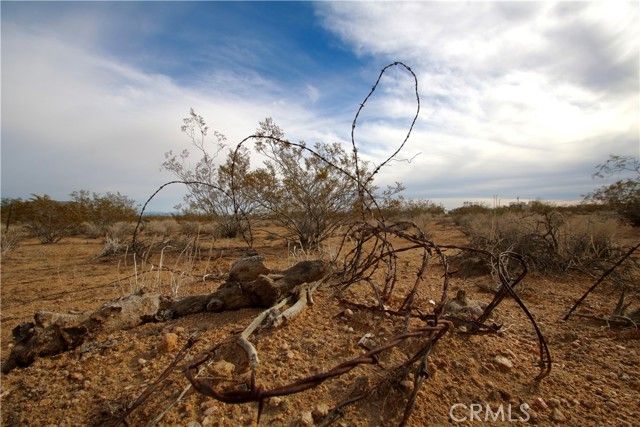 56679 Cone Boulevard, Landers, CA 92285