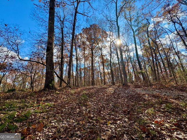 1012 King Mill Road, Mcdonough, GA 30252