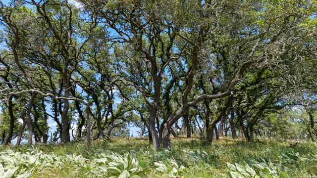 5032 Kendalia Rd, Blanco, TX 78606