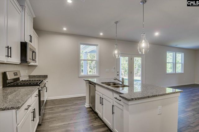 721 Feldspar Court, Chapin, SC 29036