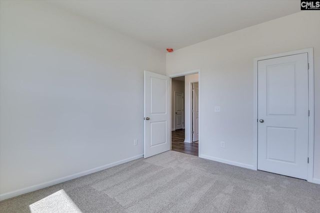 721 Feldspar Court, Chapin, SC 29036