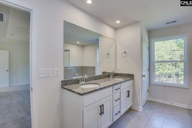 721 Feldspar Court, Chapin, SC 29036
