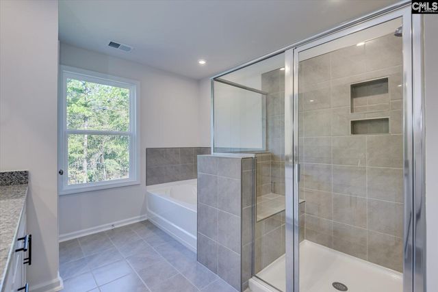 721 Feldspar Court, Chapin, SC 29036