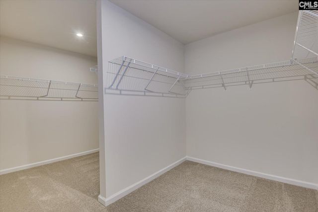 721 Feldspar Court, Chapin, SC 29036