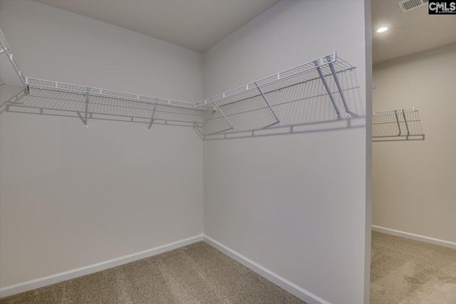 721 Feldspar Court, Chapin, SC 29036