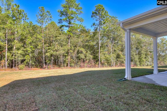 721 Feldspar Court, Chapin, SC 29036