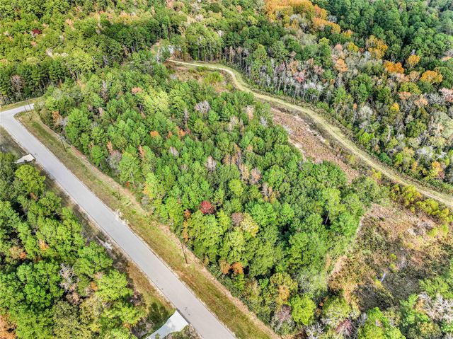 1 Sky Oak Lane, Huntsville, TX 77340