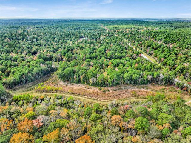 1 Sky Oak Lane, Huntsville, TX 77340