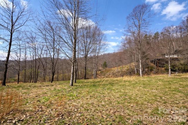 1511 Water Wheel Cove, Clyde, NC 28721