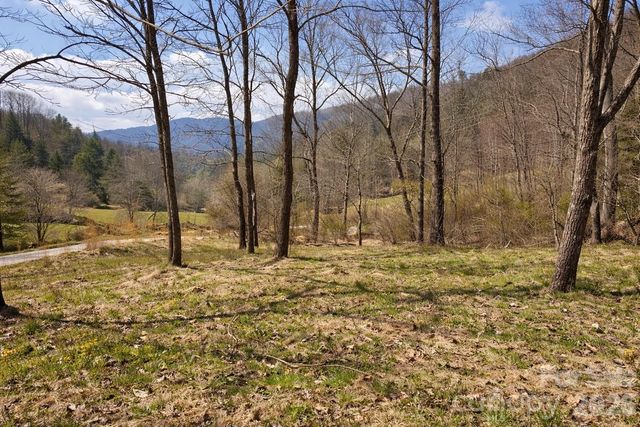 1511 Water Wheel Cove, Clyde, NC 28721