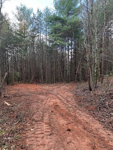 0000 Kimsey Dairy Road, Turtletown, TN 37391