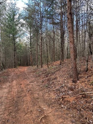 0000 Kimsey Dairy Road, Turtletown, TN 37391