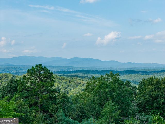 24 Oak Ledge Road, Morganton, GA 30560