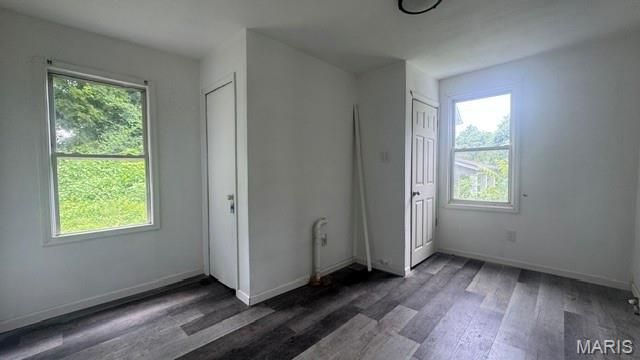 2935 Alger Avenue, St Louis, MO 63121